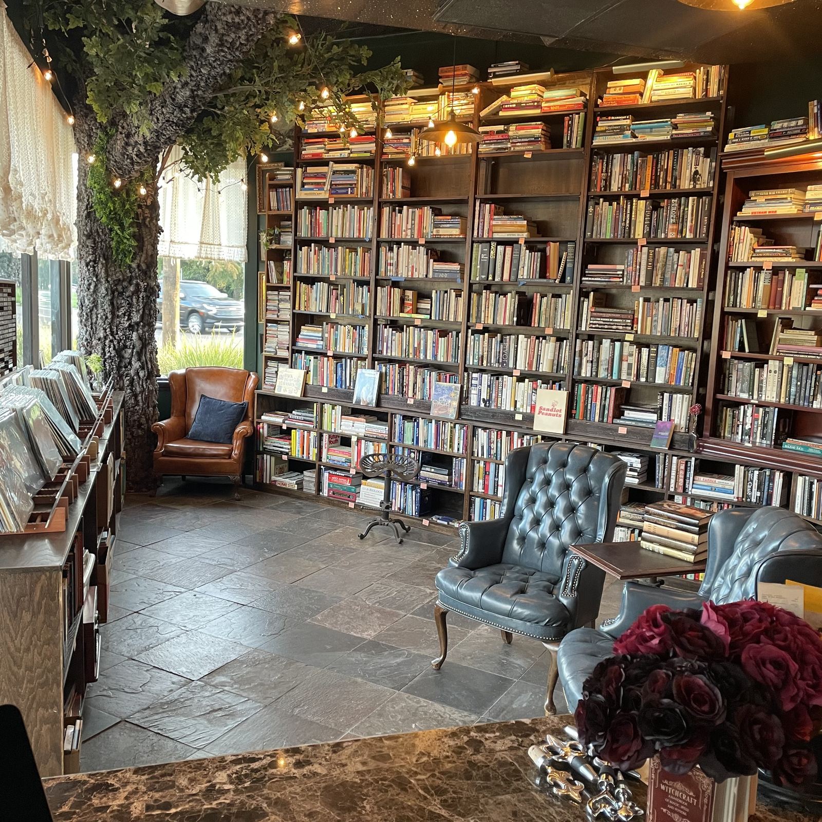 Main room with tall wooden bookshelves, a sculpted oak tree with string lights, leather armchairs, and bins of vinyl records