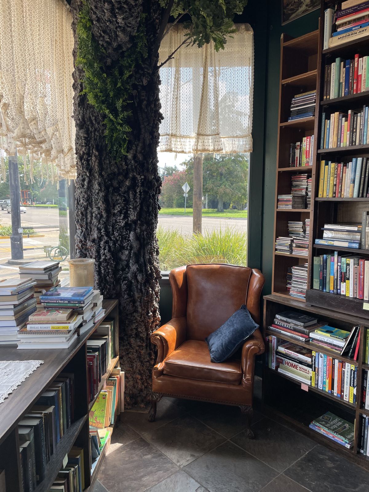 Brown leather wingback chair beside the tree trunk under lace curtains at the front window